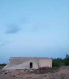 Фото #804 Фото #804