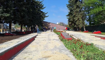 "Зеленый Донбасс": жители вдохнули новую жизнь в регион к 80-летию Победы
