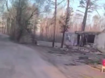 Фото #790 Фото #790