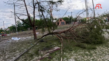 Фото #799 Фото #799