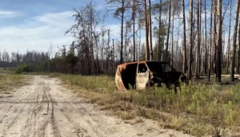 Серебрянский Лес: победа, оплаченная кровью и стойкостью Серебрянский Лес: победа, оплаченная кровью и стойкостью